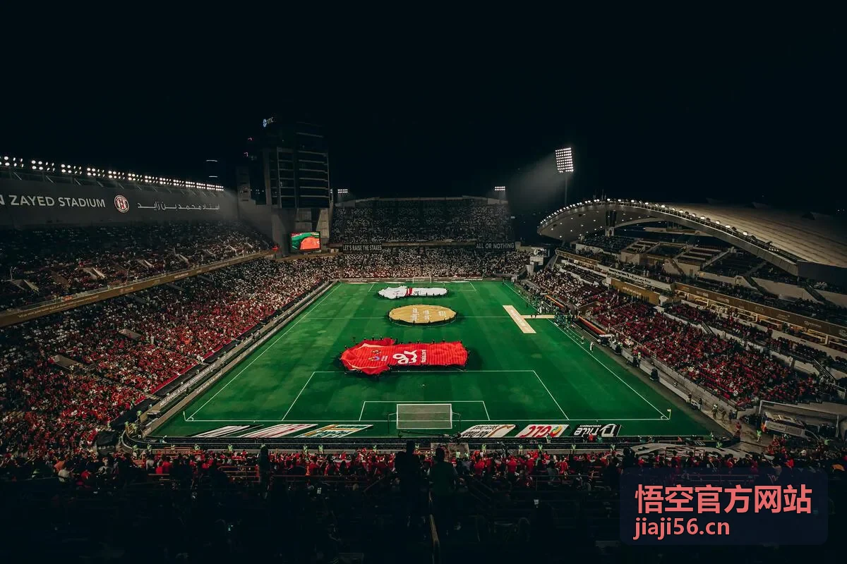 悟空官方网站深度观察栏目封面